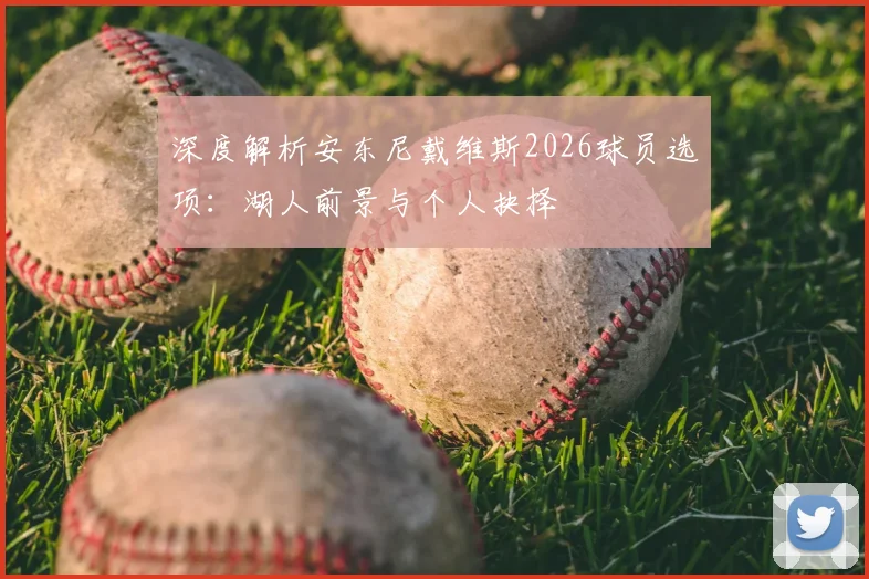 深度解析安东尼戴维斯2026球员选项:湖人前景与个人抉择