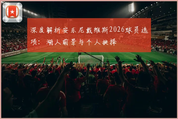 深度解析安东尼戴维斯2026球员选项：湖人前景与个人抉择